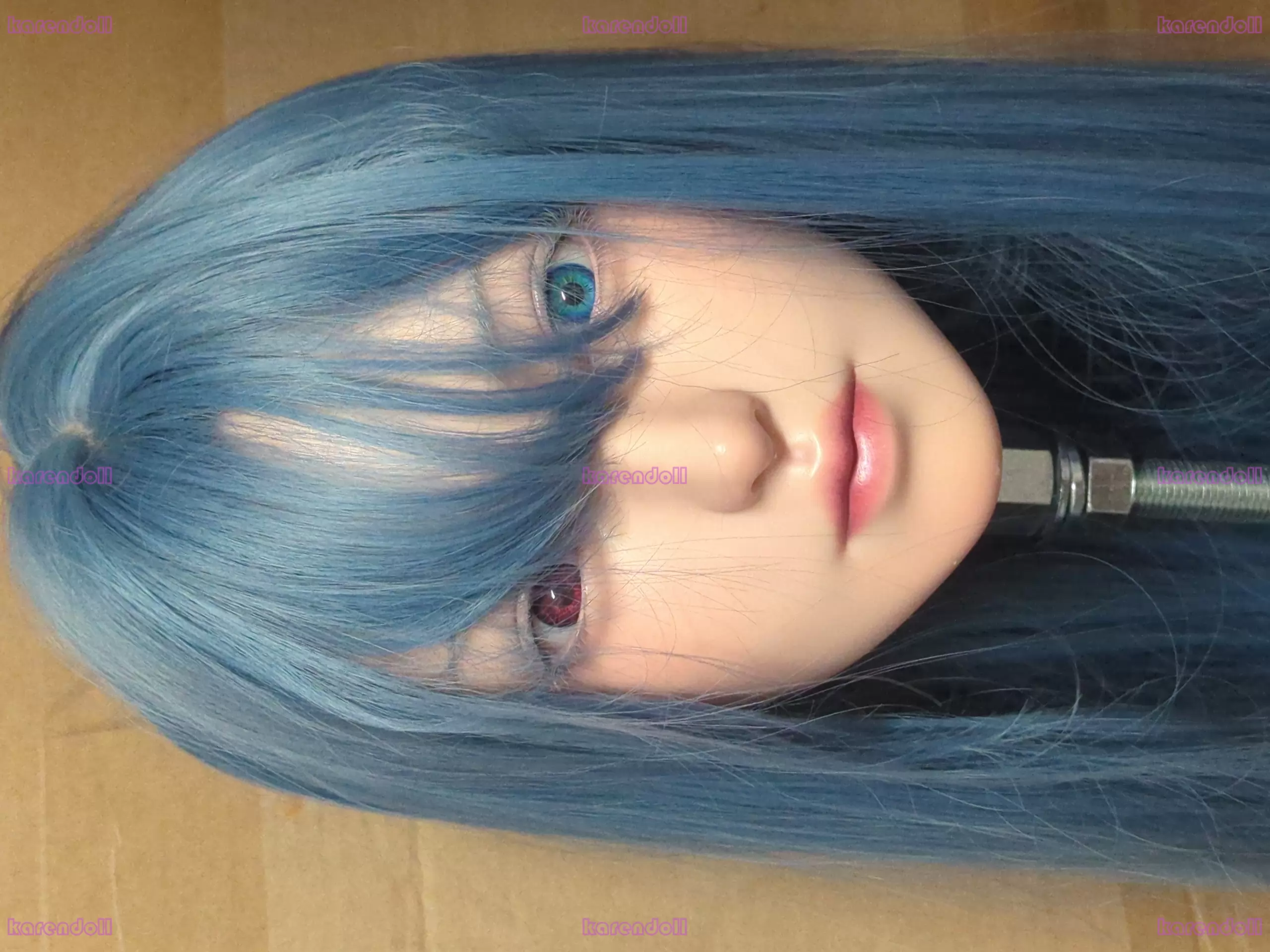 お客様投稿写真-1